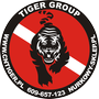 Tiger Group